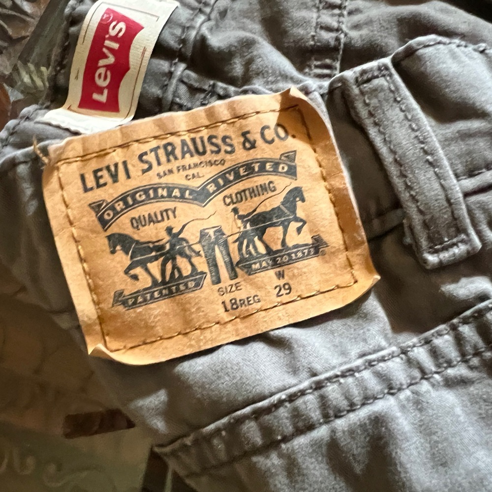 Levi Strauss & Co. Jeans boys 18 reg 29” waist
